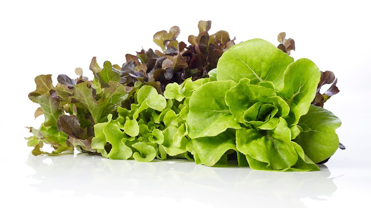 Foods High in Folic Acid