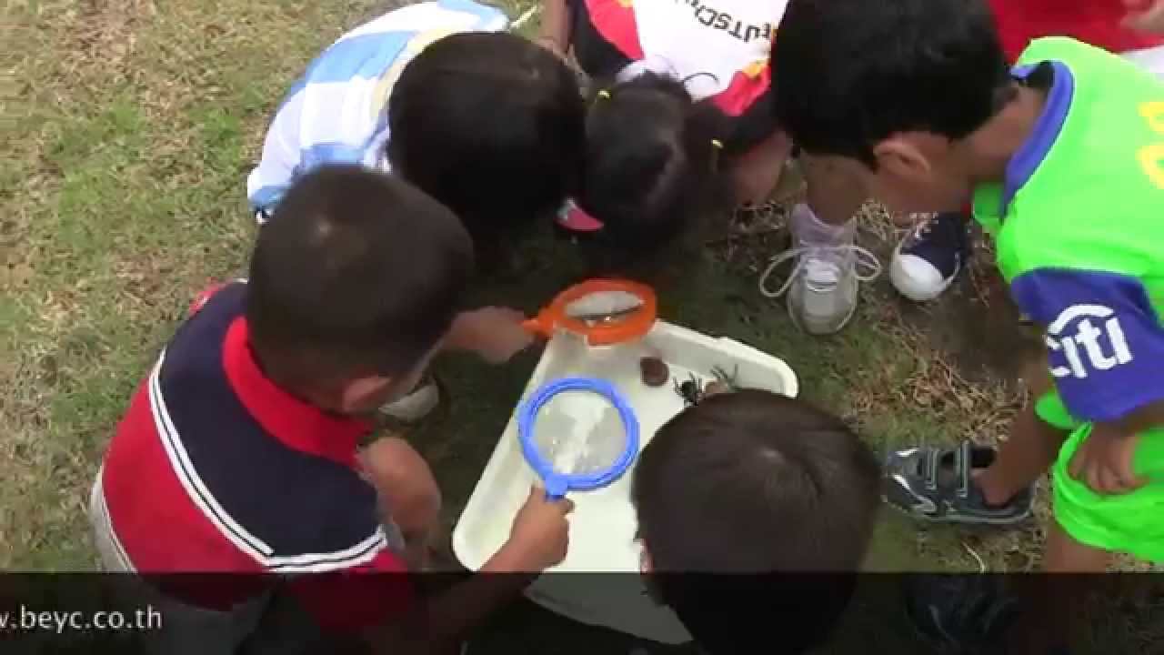 Knowledge Of The World @ BEYC (Mini-Beast Hunt)