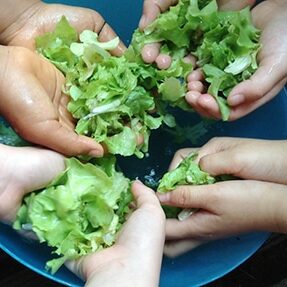 Vitamin C in Your Pregnancy Diet - Do You Know Your RDV