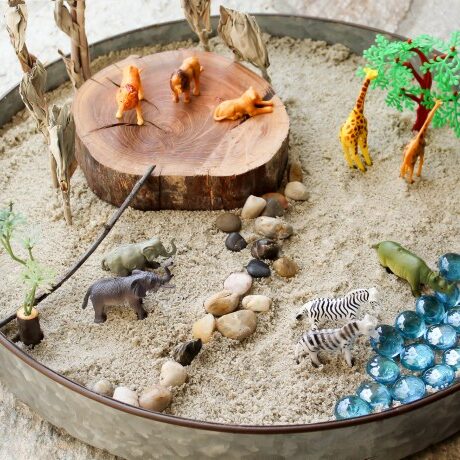 small-world-play-safari